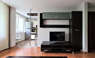Апартаменты Green View Apartment Клайпеда Апартаменты с 1 спальней-12